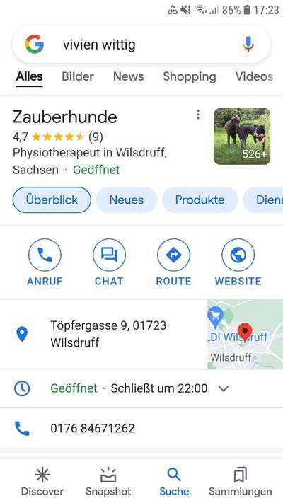 Hundepension Dresden und Umgebung-Beitrag-Bild