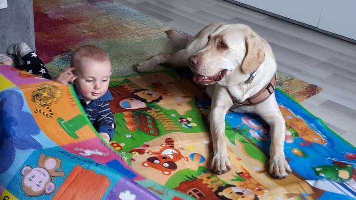 Babybesuch-Beitrag-Bild