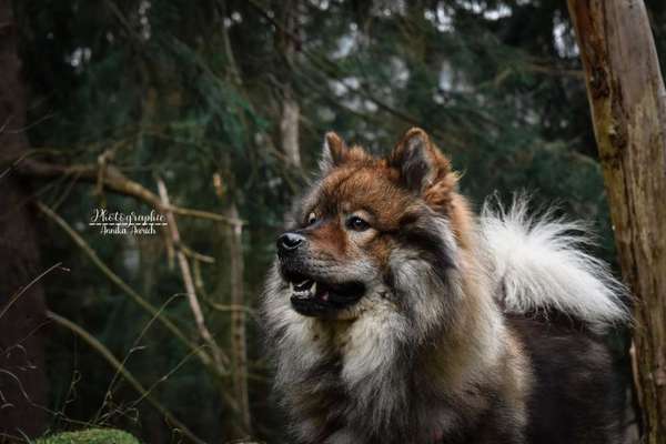 CHALLENGE Nr.17-Beitrag-Bild