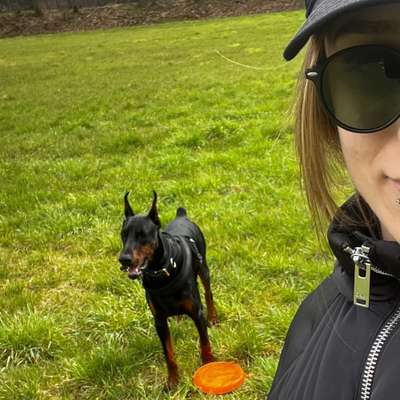 Hundetreffen-Spielen & Training