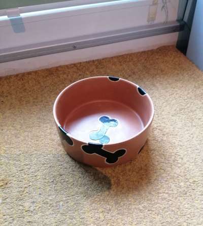 Zeigt her Eure Futternäpfe-Beitrag-Bild