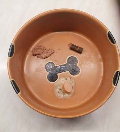 Zeigt her Eure Futternäpfe-Beitrag-Bild