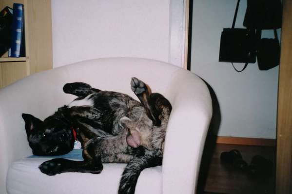 Fotochallenge Nr.65-Beitrag-Bild