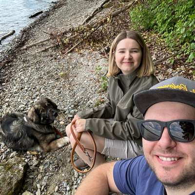 Hundetreffen-Socialwalks und Tierschutzbuddy gesucht-Bild