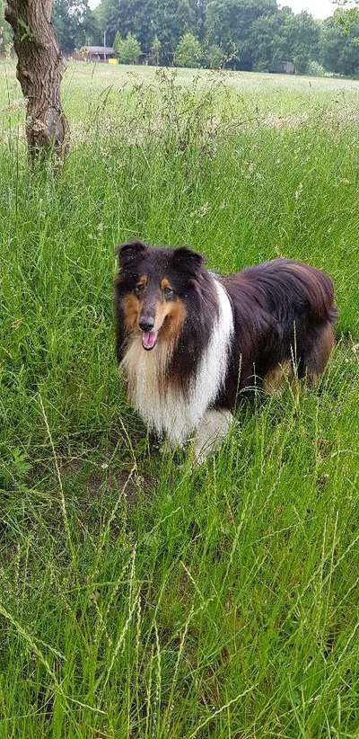 Fotochallenge No. 26                                     Wald und Wiese-Beitrag-Bild