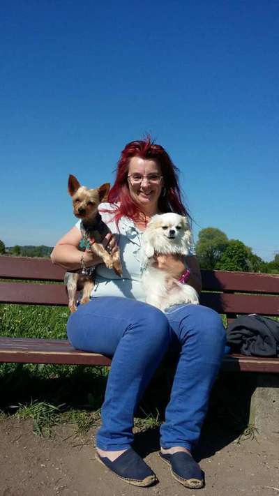 Die Dogorama Wochen Challenge "Friends will be Friends"-Beitrag-Bild