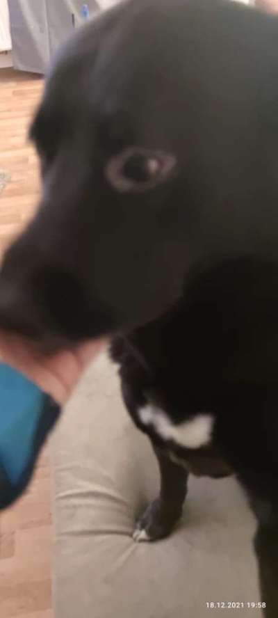 Helle stellen um die Augen-Beitrag-Bild