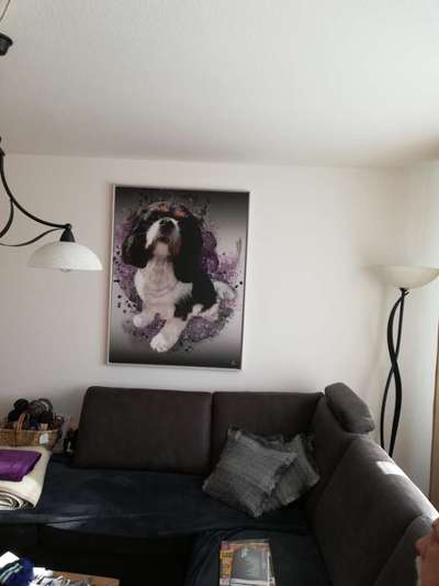 Cavaliere im Raum Böblingen/Stuttgart-Beitrag-Bild