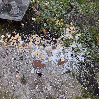 Giftköder-Giftköder-Bild