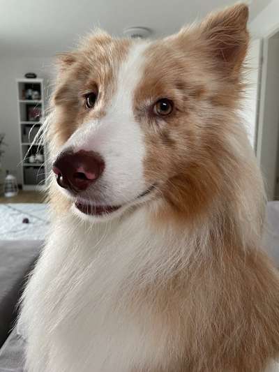 Fotochallange Nr. 57     PORTRÄT.   Beendet!!!!!!!!-Beitrag-Bild