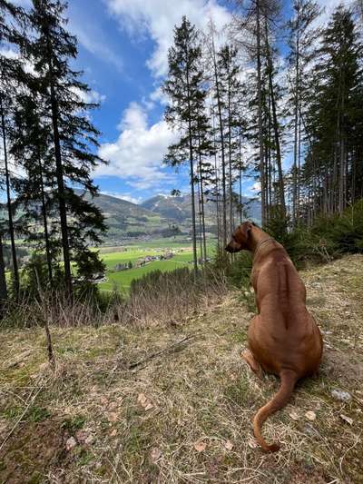 Foto Challenge Nr. 79-Beitrag-Bild