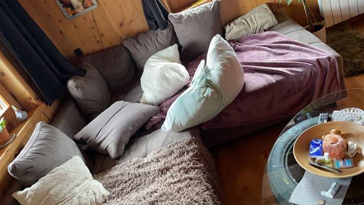 Zeig mir, dass du mit einem hund zusammenlebst....-Beitrag-Bild