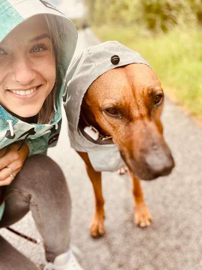 Die Dogorama Wochen Challenge "Spaziergang im Regen"-Beitrag-Bild