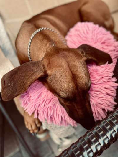 Lieblingsbild :D-Beitrag-Bild