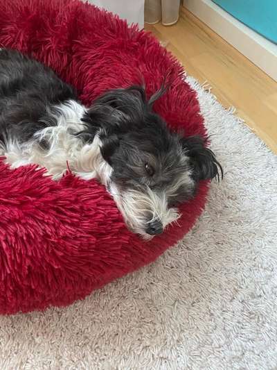 Erfahrung mit Wolkenbett-Beitrag-Bild