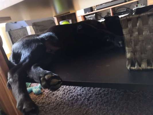 Verrückte Schlafpositionen-Beitrag-Bild