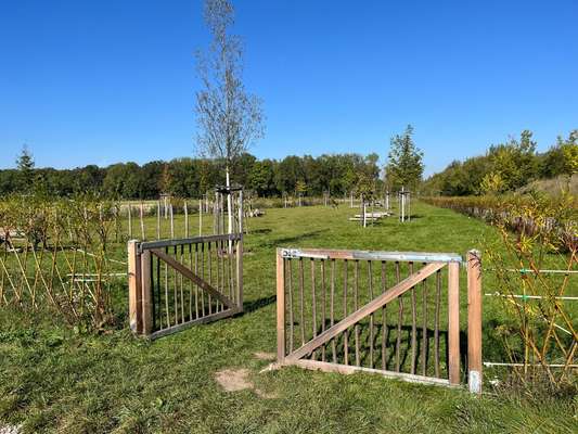 Hundeauslaufgebiet-Agility Platz Aschheim-Bild