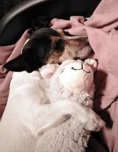 Fotochallenge Nr. 56 - geliebte Senioren-Beitrag-Bild