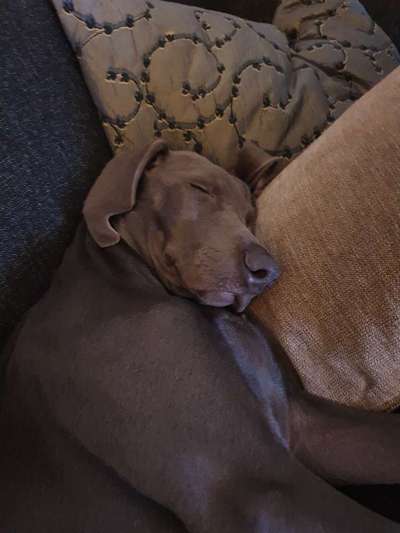 Schlafzeit!💖-Beitrag-Bild