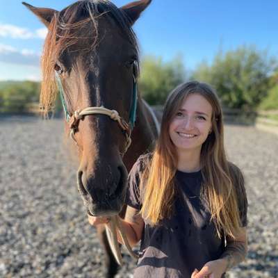 Hundetreffen-Spaziergang/Toben in Stadecken-Elsheim-Profilbild