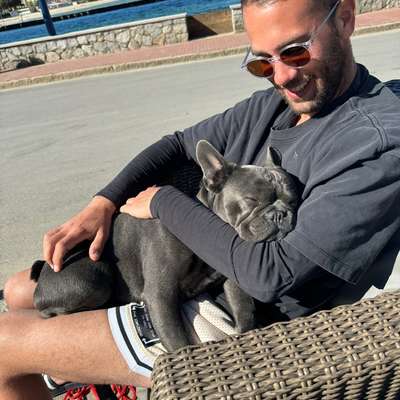 Hundetreffen-Hundetreffen Dreieich – Walk & Playdate!-Bild