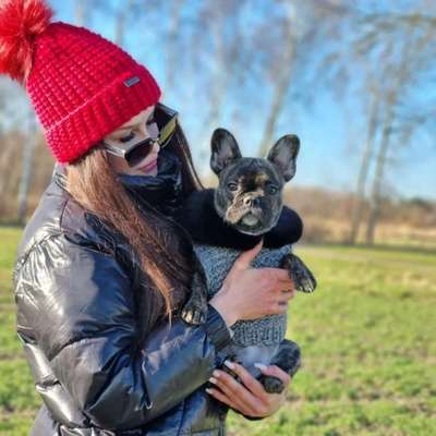 Hundetreffen-Welpentreff Moabit-Profilbild