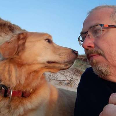 Hundetreffen-Gassi-Runden Mühlhausen und Umgebung