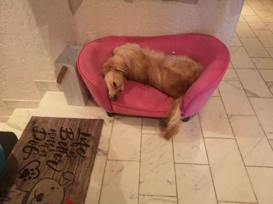 Die unbequemsten und lustigsten Schlafpositionen-Beitrag-Bild