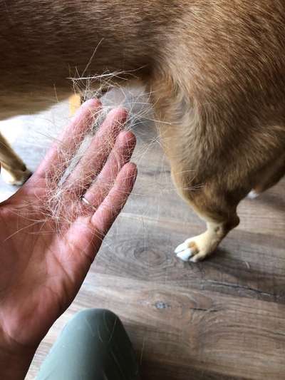 %{de_profession_title}-Thalasso Therapie-Bild