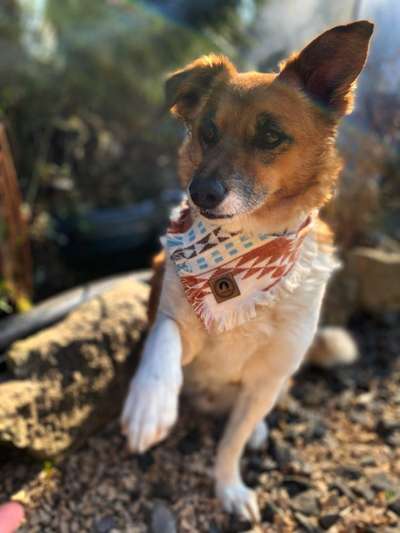 Lieblingsbild-Beitrag-Bild