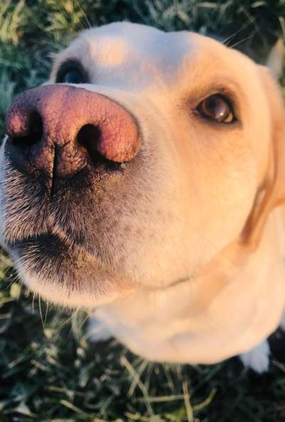 Handy-Foto Challange Nr. 10-Beitrag-Bild