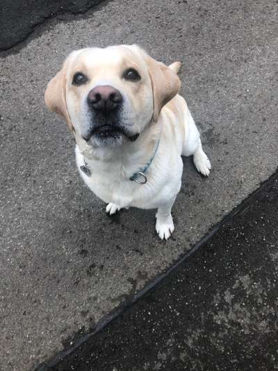 Handy-Foto Challange Nr. 10-Beitrag-Bild