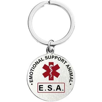 Hundetreffen-Suche Menschen mit Interesse an Hunden-Bild