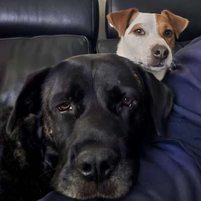 Daniela's Profilbild