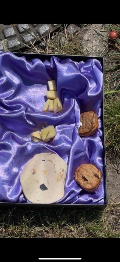 Giftköder-Köder mit Rasierklingen-Bild