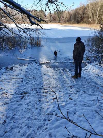 Hundeauslaufgebiet-Mönchsteich-Bild