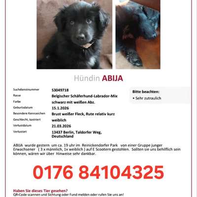 Suchmeldung-Abija-Bild