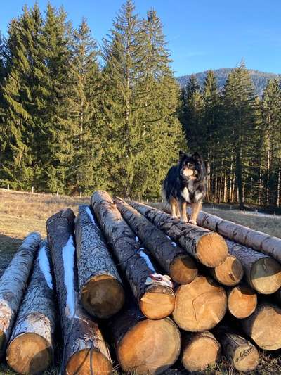 Fotochallenge 130-Beitrag-Bild