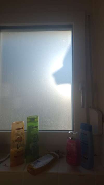 Wie kamst du zu deinem Hund?-Beitrag-Bild