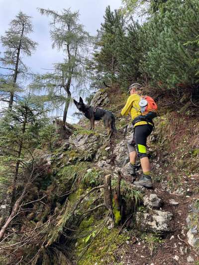 Berg- und Schneeschuhtouren-Beitrag-Bild