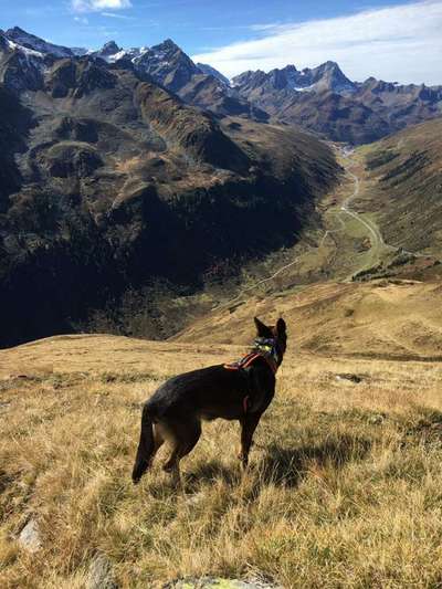 Berg- und Schneeschuhtouren-Beitrag-Bild