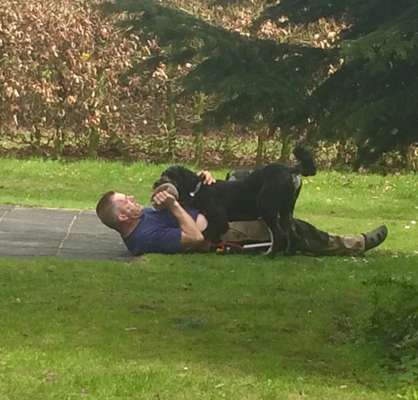 FOTO CHALLENGE 77 - Dein Hund im Spiel-Beitrag-Bild