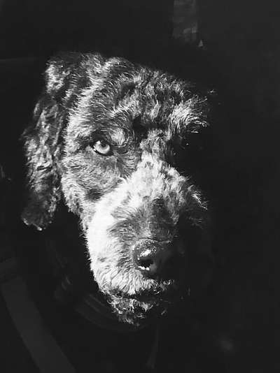 Foto-Challenge 76: Foto in Schwarz-Weiss-Beitrag-Bild