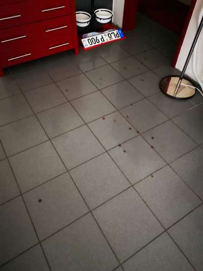 Rhodesian Ridgeback-Beitrag-Bild