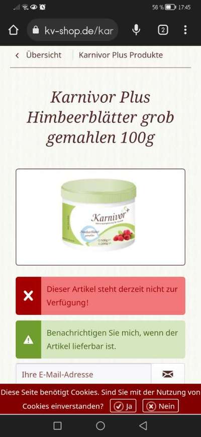 Rhodesian Ridgeback-Beitrag-Bild