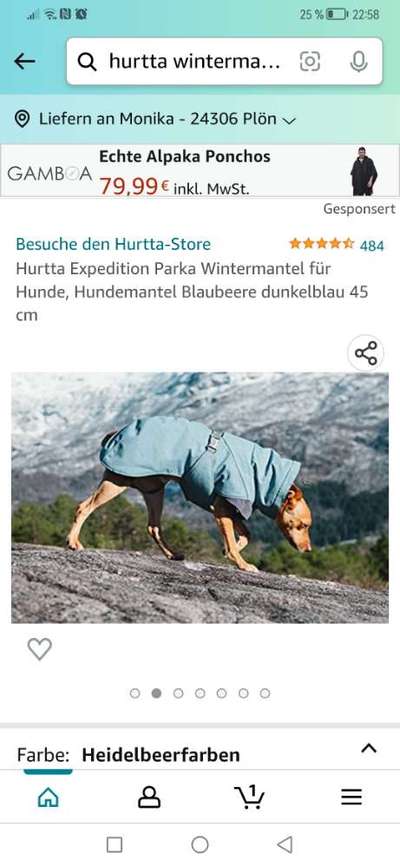 Rhodesian Ridgeback-Beitrag-Bild