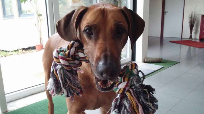 Lieblingsbild-Beitrag-Bild