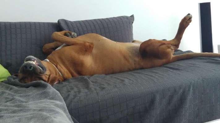 Lieblingsbild-Beitrag-Bild