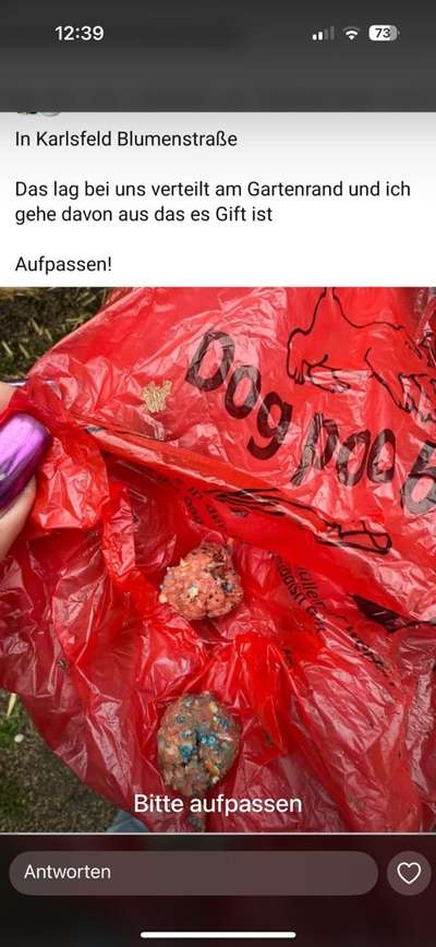 Giftköder-Giftköder-Bild