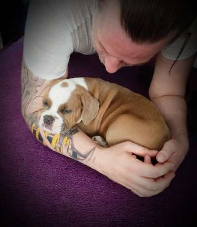 Welpen Bilder !-Beitrag-Bild